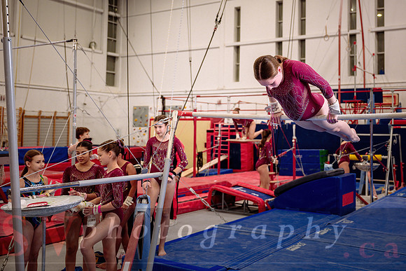 Mississauga Gymnastics