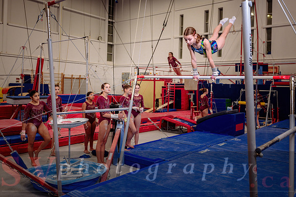 Mississauga Gymnastics