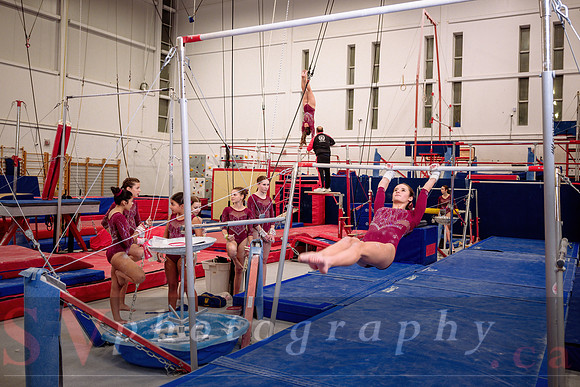 Mississauga Gymnastics