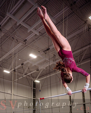 Mississauga Gymnastics