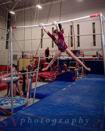 Mississauga Gymnastics