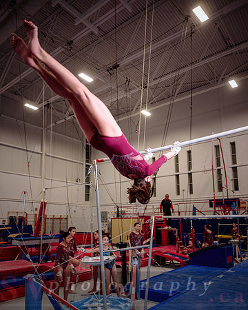 Mississauga Gymnastics