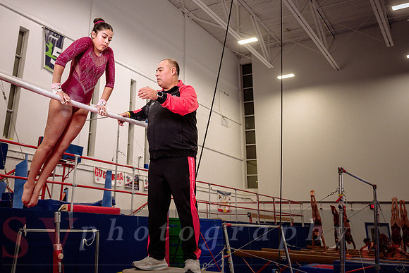 Mississauga Gymnastics