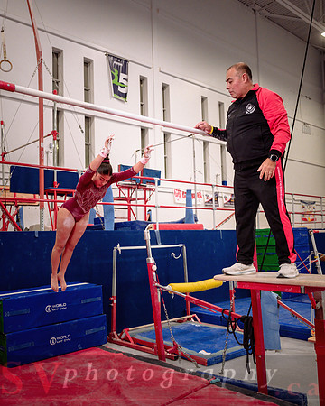 Mississauga Gymnastics