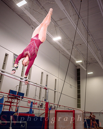 Mississauga Gymnastics