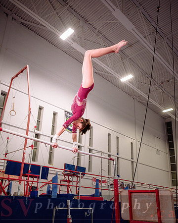 Mississauga Gymnastics