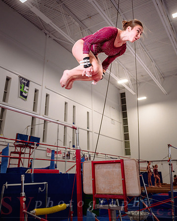 Mississauga Gymnastics