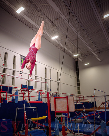 Mississauga Gymnastics