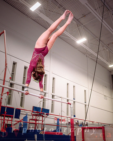 Mississauga Gymnastics
