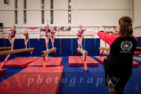 Mississauga Gymnastics