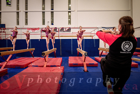 Mississauga Gymnastics