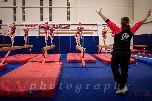 Mississauga Gymnastics