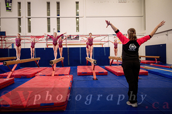 Mississauga Gymnastics