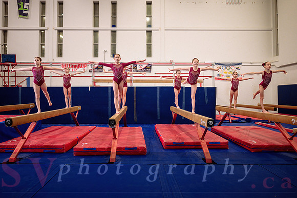 Mississauga Gymnastics