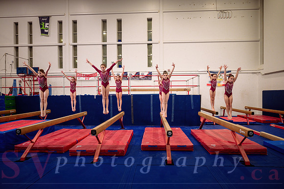 Mississauga Gymnastics