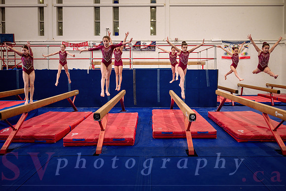 Mississauga Gymnastics