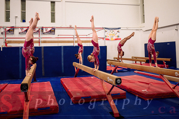 Mississauga Gymnastics
