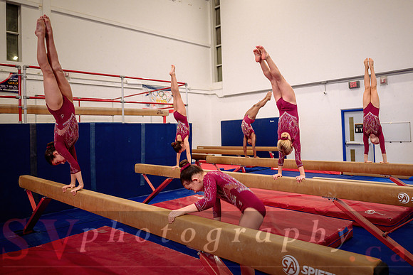 Mississauga Gymnastics