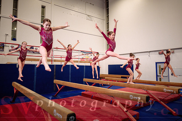Mississauga Gymnastics