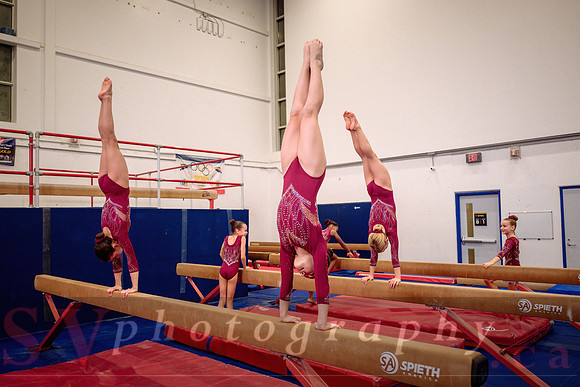 Mississauga Gymnastics