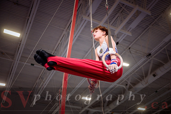 Mississauga Gymnastics