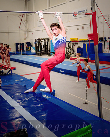 Mississauga Gymnastics