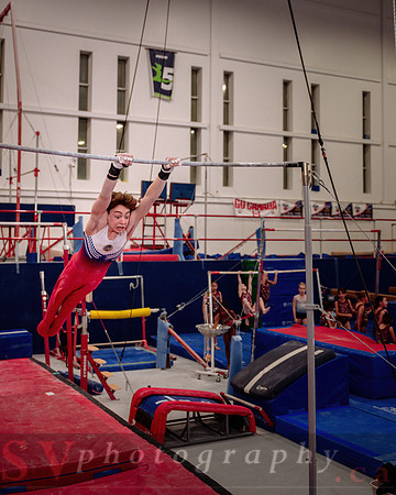 Mississauga Gymnastics