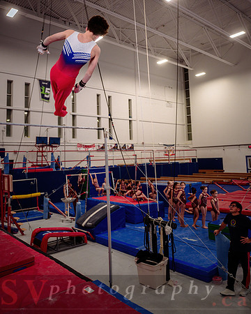Mississauga Gymnastics