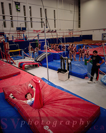 Mississauga Gymnastics