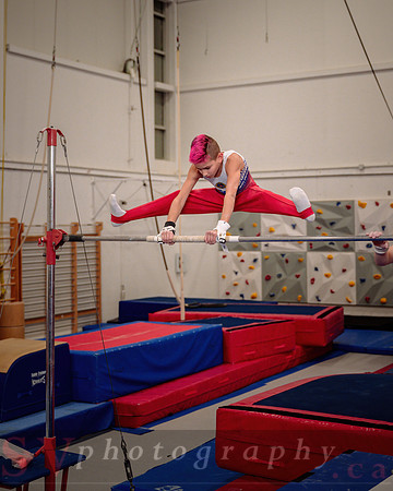 Mississauga Gymnastics