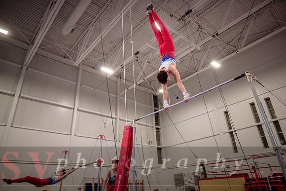 Mississauga Gymnastics