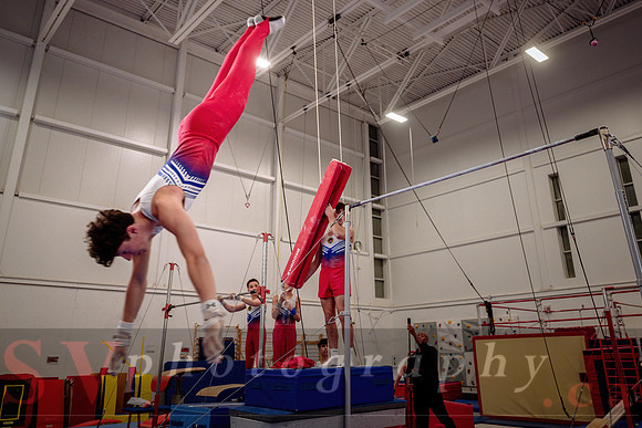 Mississauga Gymnastics