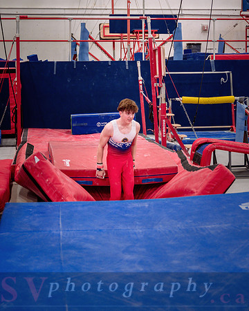 Mississauga Gymnastics
