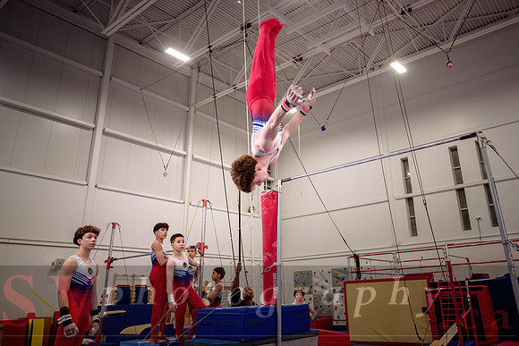 Mississauga Gymnastics