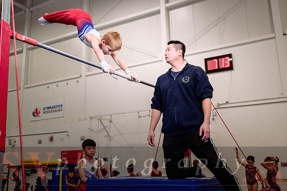 Mississauga Gymnastics