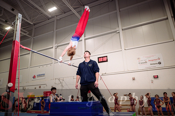 Mississauga Gymnastics