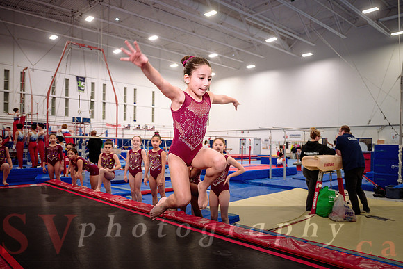 Mississauga Gymnastics