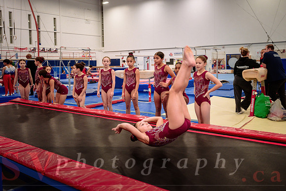 Mississauga Gymnastics