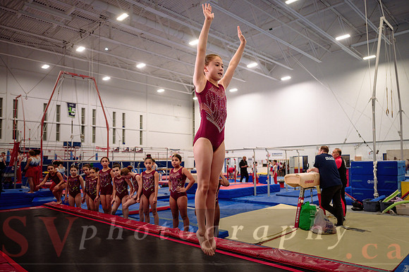 Mississauga Gymnastics