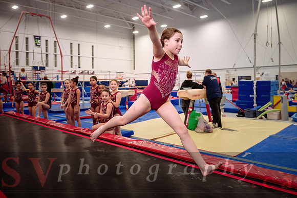 Mississauga Gymnastics