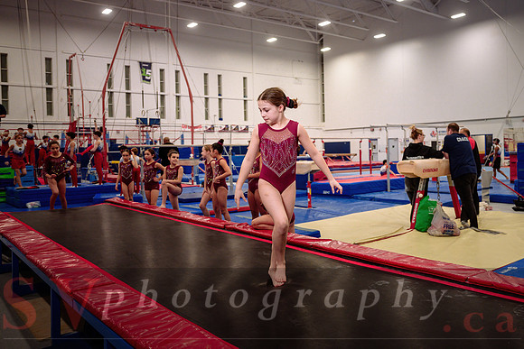 Mississauga Gymnastics