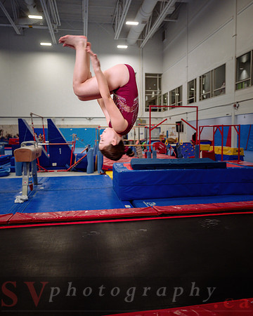 Mississauga Gymnastics