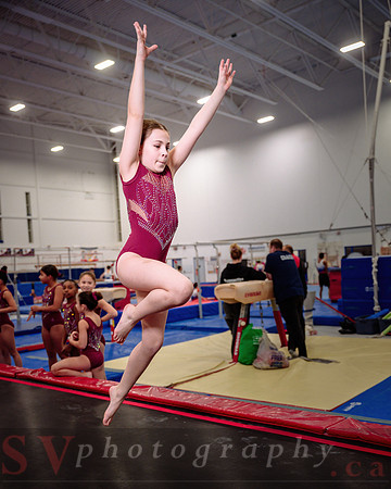 Mississauga Gymnastics