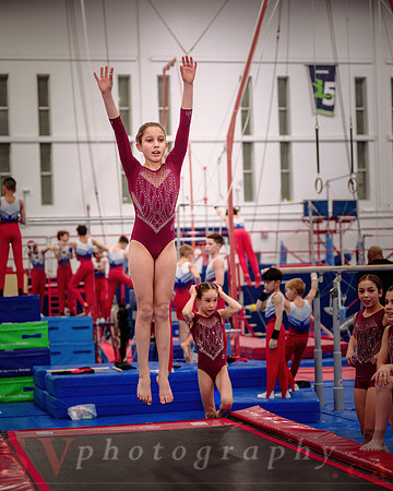 Mississauga Gymnastics