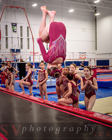 Mississauga Gymnastics