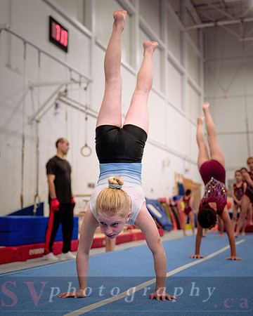 Mississauga Gymnastics