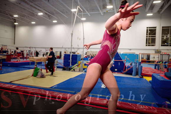 Mississauga Gymnastics