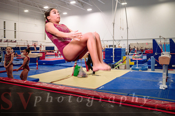 Mississauga Gymnastics