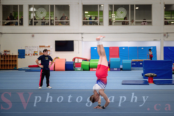 Mississauga Gymnastics