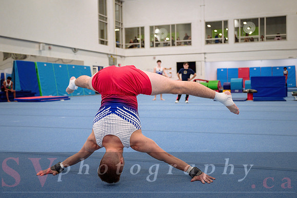 Mississauga Gymnastics